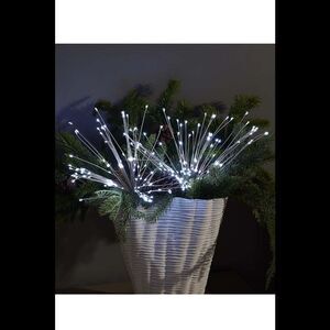 Bethlehem Lights 2-Pack Star Bursts with Remote - Cool White
